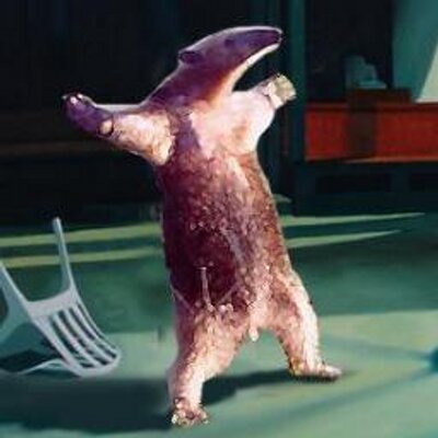 Anteater